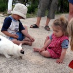 Schnurrli frisst Fisch unter sechs Kinderaugen.