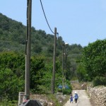 Meine beiden Töchter laufen ganz alleine nach oben ...