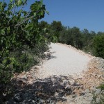 100 Meter von der Barbinja entfernt mit Blick nach oben auf die "Autobahn".